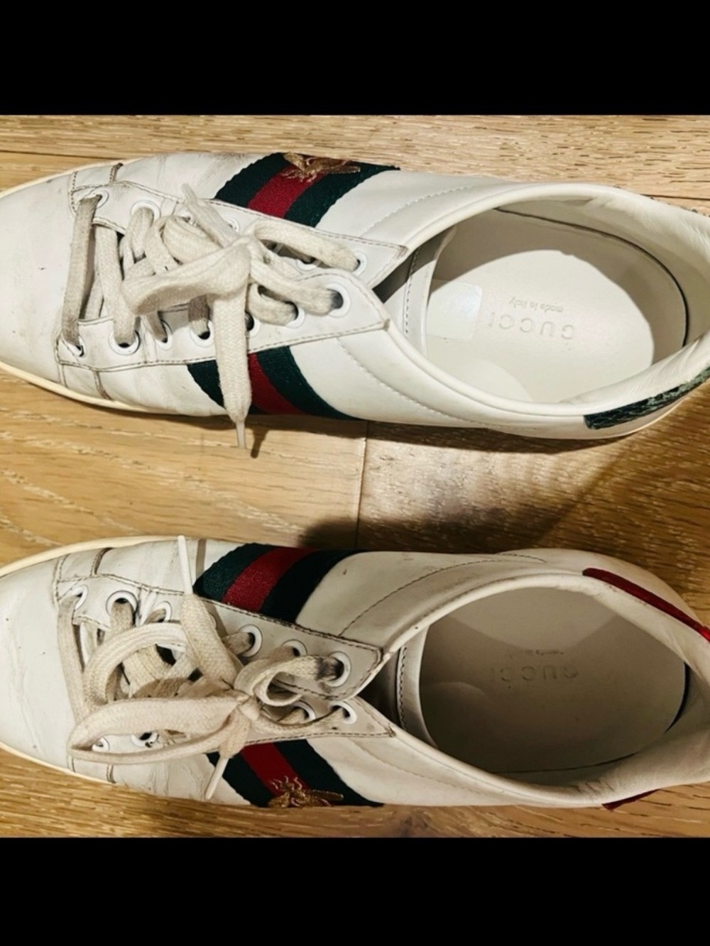 GUCCI Watersnake Trimmed Red & Green Bee Sneakers 7.5